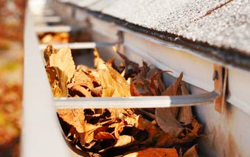 Inwood gutter cleaning companies